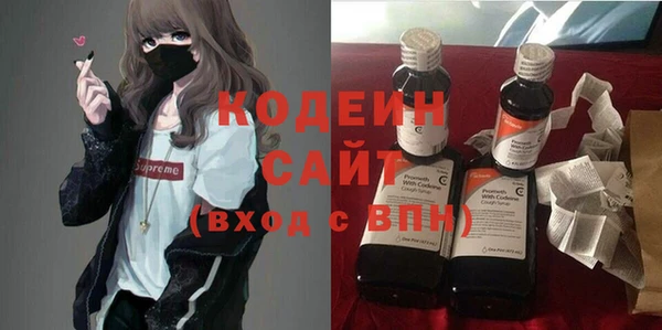 молекула духа Арсеньев