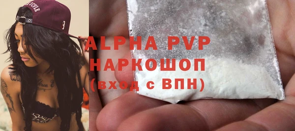 гидра Няндома