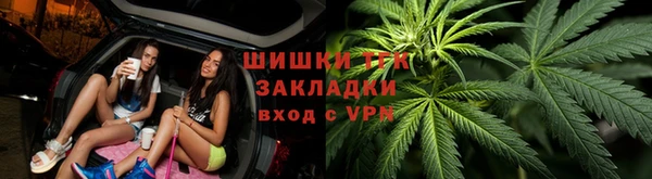 трава Аркадак