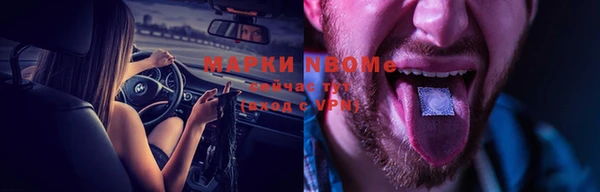 молекула духа Арсеньев