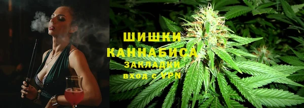 трава Аркадак