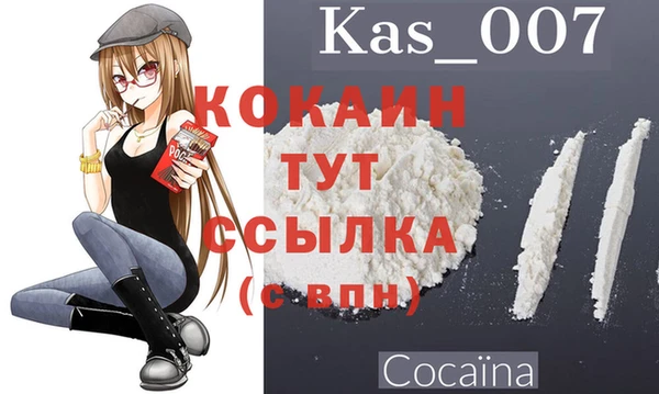 молекула духа Арсеньев