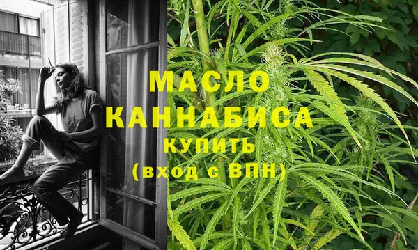 молекула духа Арсеньев