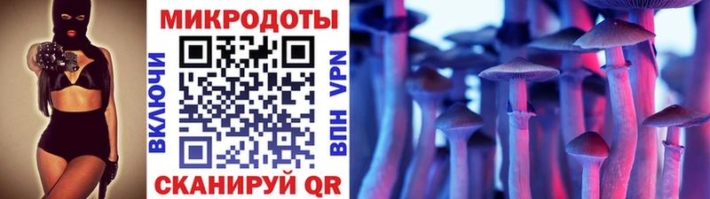 Псилоцибиновые грибы мицелий  kraken зеркало  Семикаракорск  даркнет сайт 